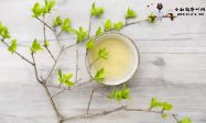 紫阳打造茶旅融合的示范点和会客厅