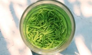 绿茶怎么保鲜（绿茶怎么存保鲜效果最好）