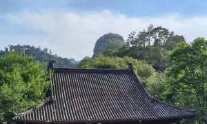 常见的绿茶香型，你最喜欢哪种？