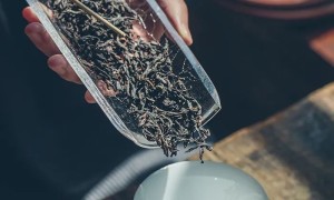 「 青茶 」水金龟