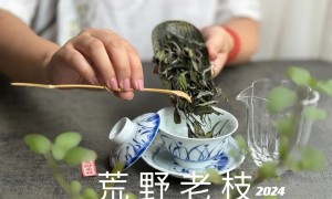 为什么每个主播都往盖碗和茶壶里硬塞那么多茶叶？