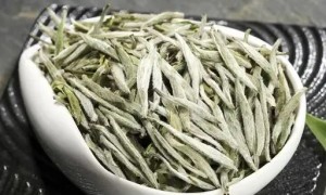 白毫银针怎么泡？掌握这个温度，轻松泡出好味道！