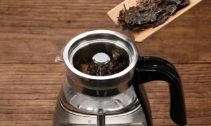 老白茶是用冷水煮，还是热水煮？