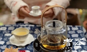 5个步骤，教你煮出香醇甜糯的老白茶，0基础新手也能学会