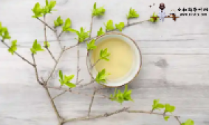 聚焦珠海，会展业发展迅猛,，珠海茶博会有望成为会展新名片